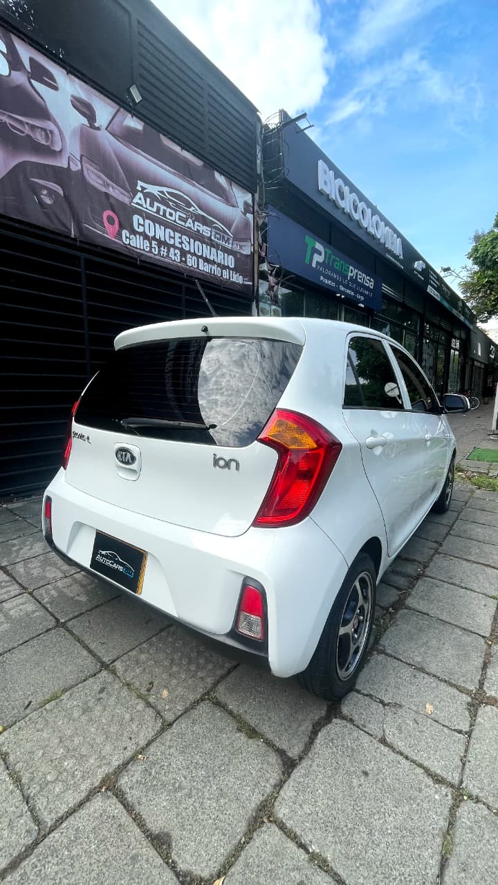 miniatura