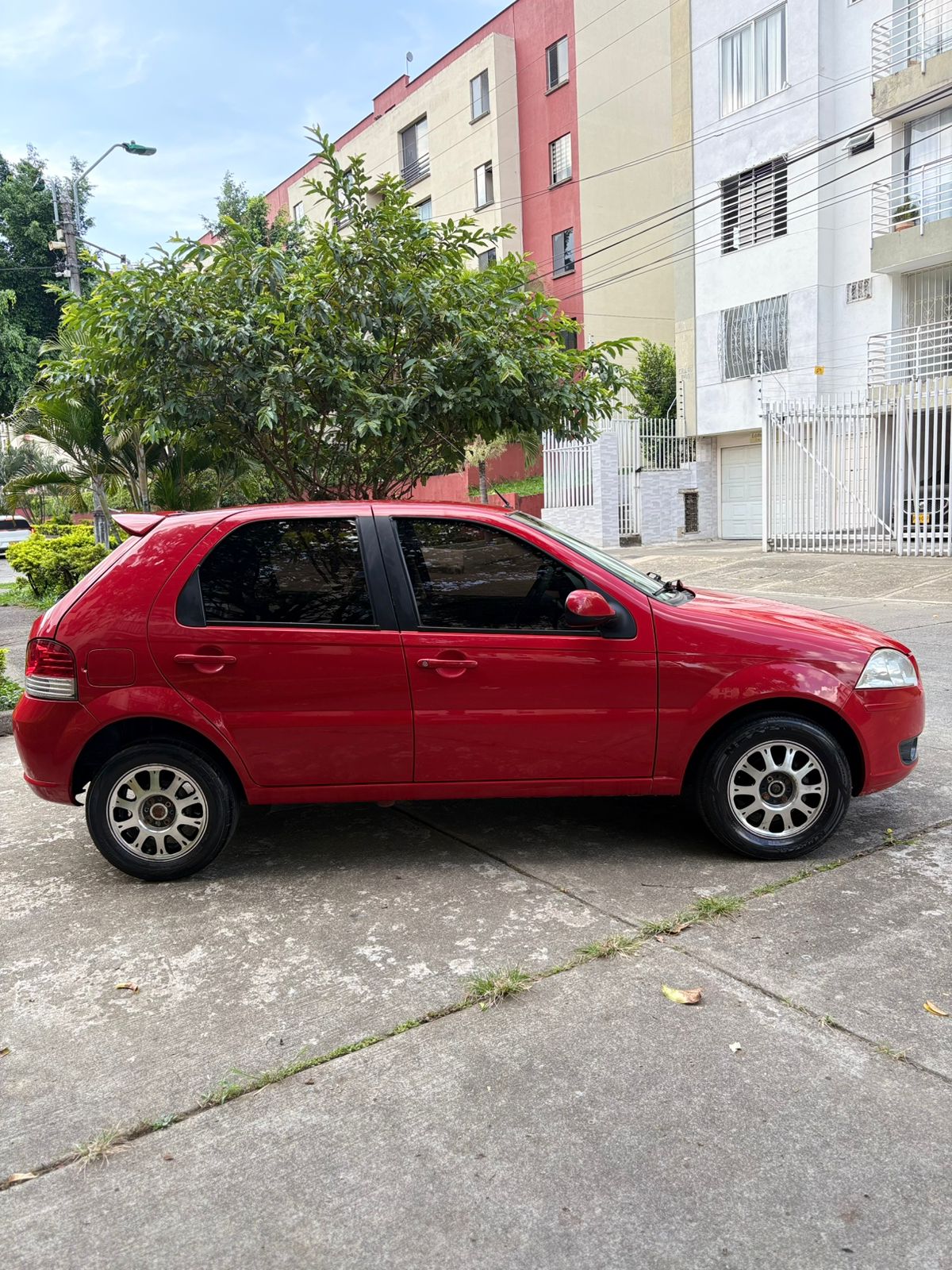 miniatura