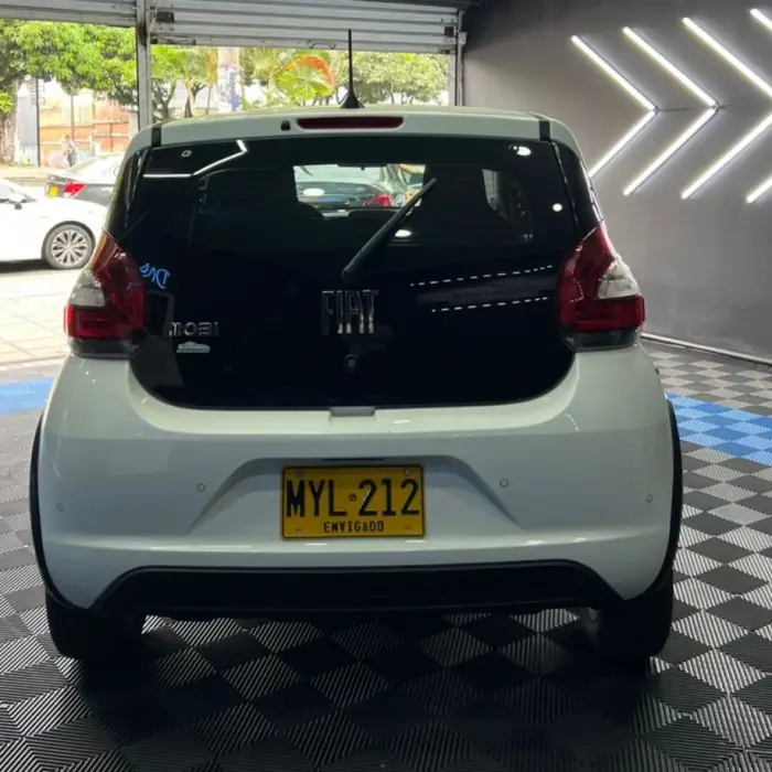 miniatura