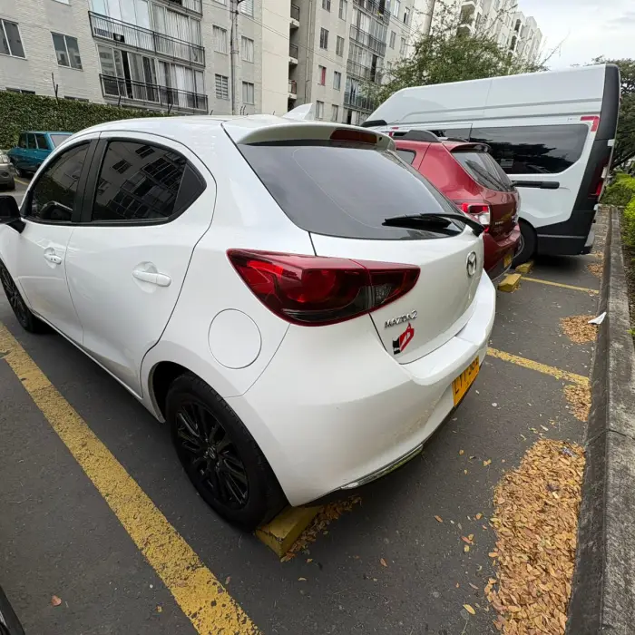 miniatura